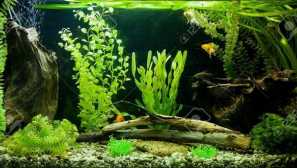 Менерални хранителни инсталации